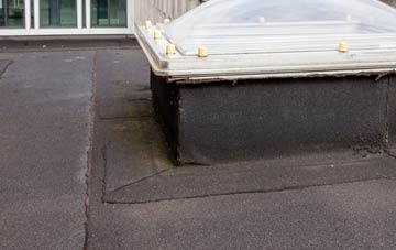 disadvantages of Newington Bagpath flat roofs